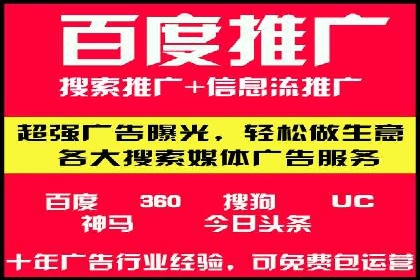 SEM公司案例研究：数据驱动营销策略
